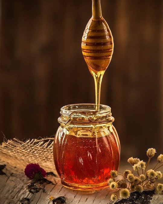 النحل تركيبه الكيميائي – أهميته وأنواعه مميزاته العلاجية