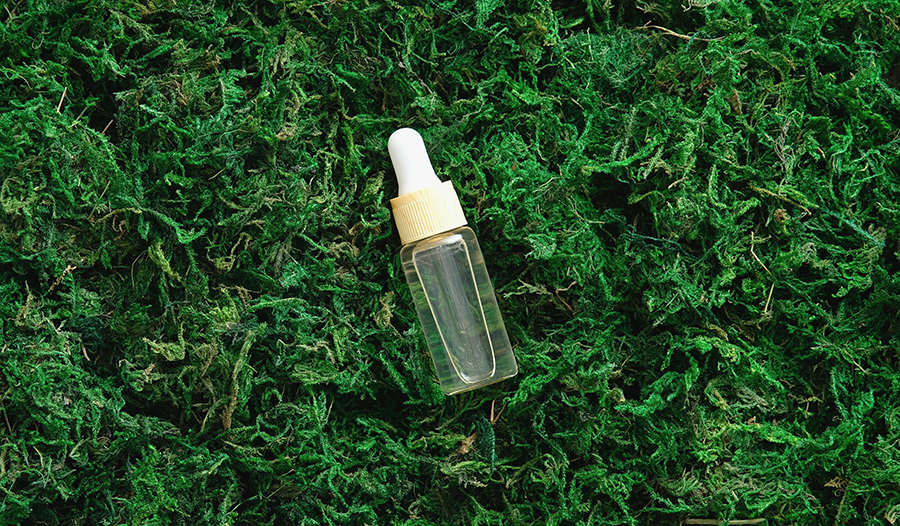 فوائد طحلب البحر الصحية